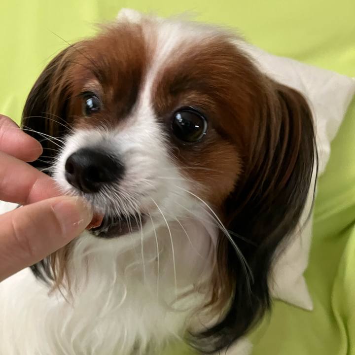 3299be21 f23b 464f a873 a62381389a9f 1719805223158