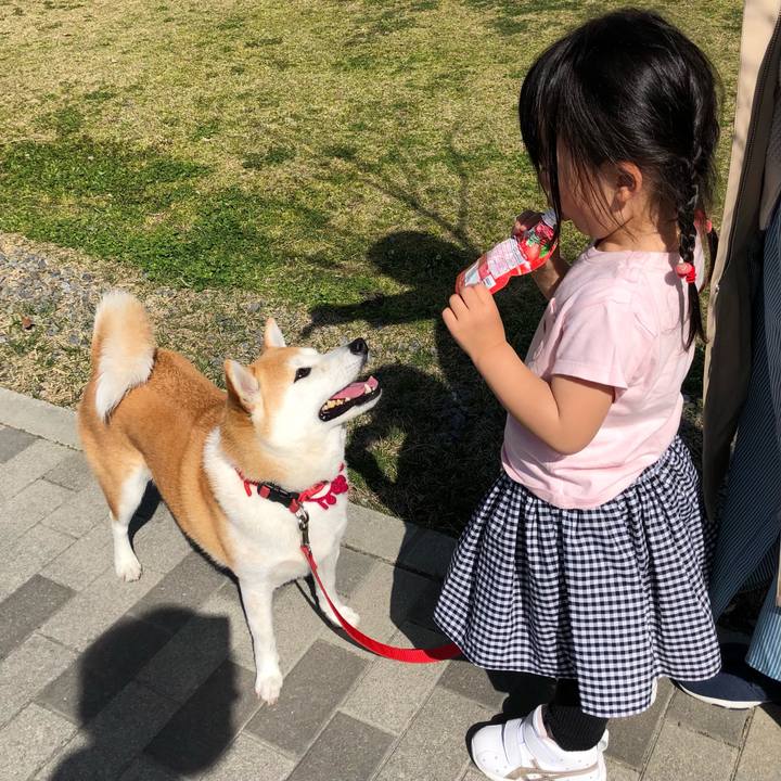 3299ce75 aae7 468e a43f bbbddf7688e4 1616059302425