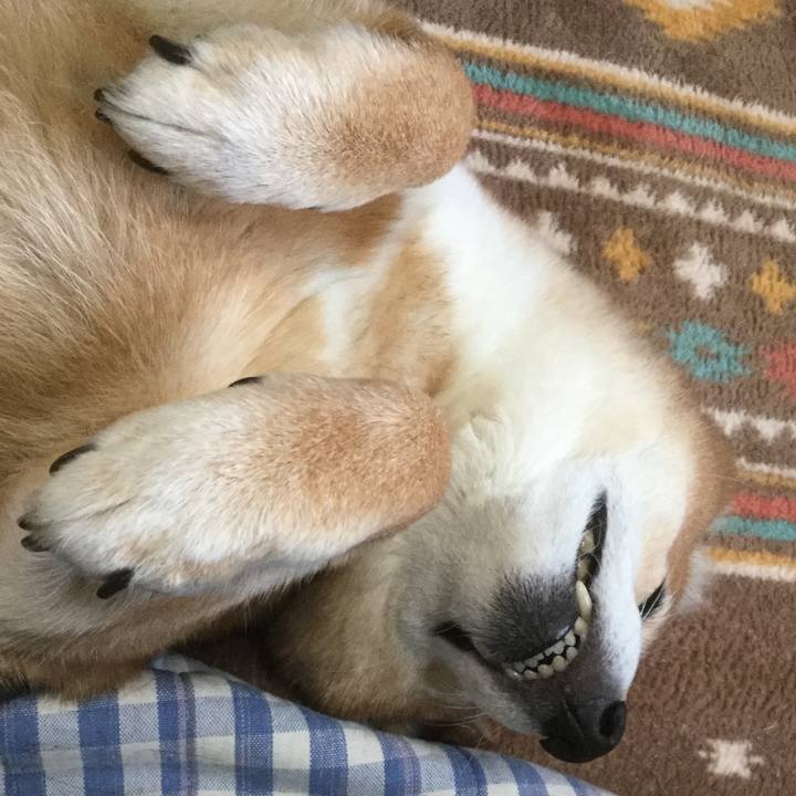 3299f35b 55dc 434d ba82 d46d6a65dcb0 1550304139102