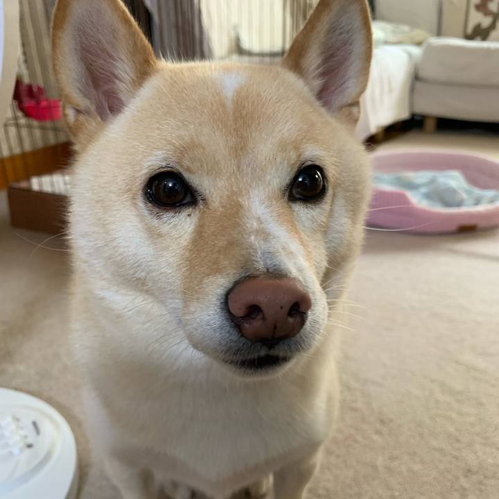 329a2050 d101 41a4 92b1 ca6446f28811 1631483949165