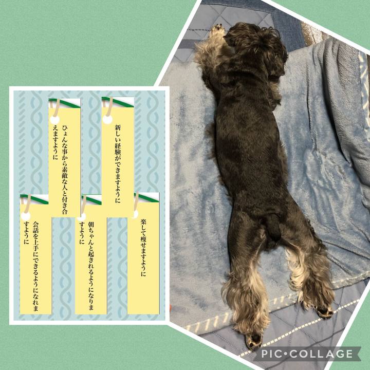 329a2503 951e 4e06 93bf 17dca0b2f551 1688824913806