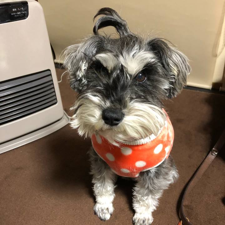 329a5b8f 4109 43e8 931d a24c08202ede 1519488701246