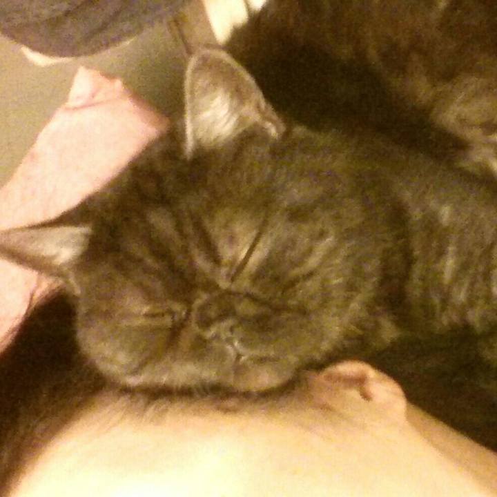 329a734a 2852 47e3 81c9 324be3646fc4 1587547609843