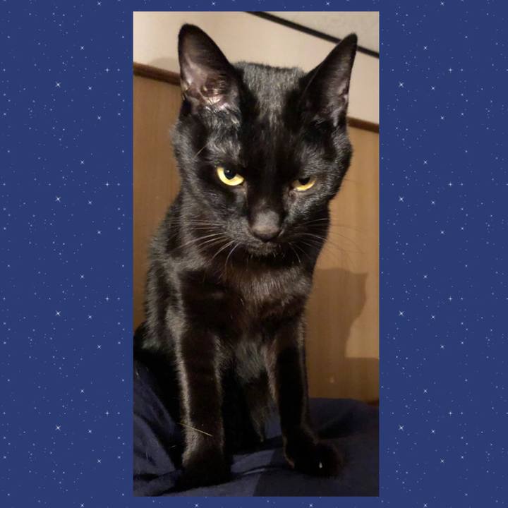 329a9f99 aad6 4663 bbff 0f3b411f2d3f 1668596498090