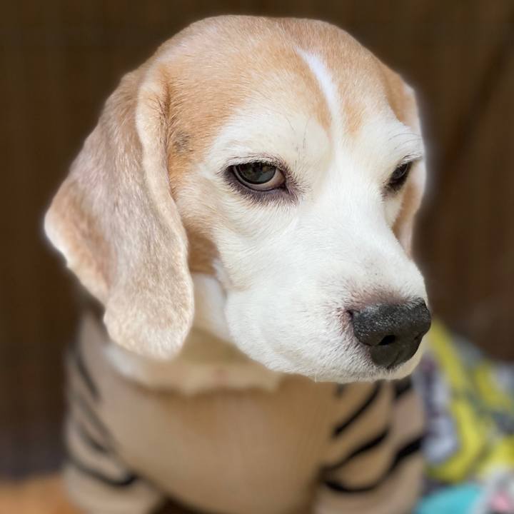 329ae982 b395 439e 81ad 6177e5b6afdb 1579405099767