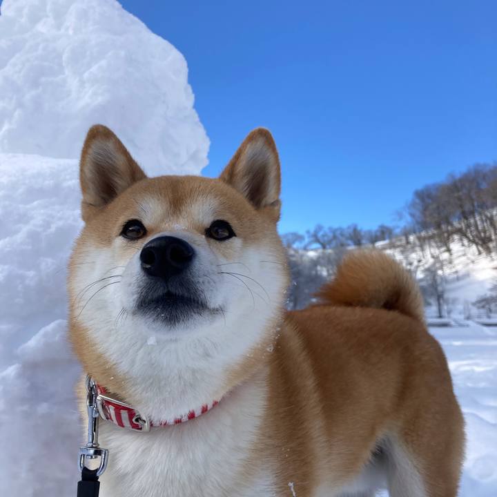 329af028 3a5e 4291 b93a ed127c5b0c97 1643542463493