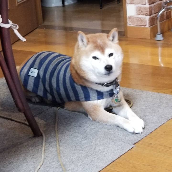 329af46e 8492 4009 8542 9f7c7be31509 1671075365146