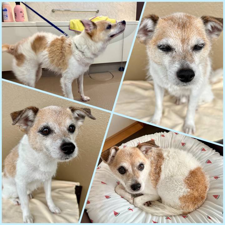 329b0e43 76c1 4192 8221 49f587738944 1685928603476