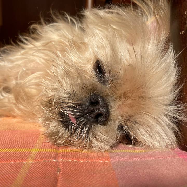 329b16f0 f380 45f4 910f 1230d2f30658 1611289270753