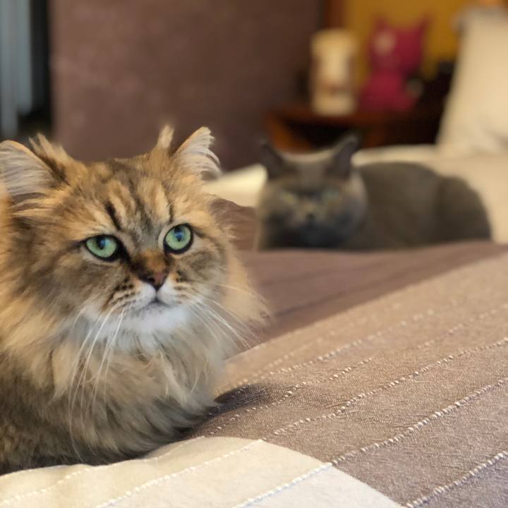 329b1ae6 e19a 4ecd 8391 a7d6a0119f1d 1569050439789