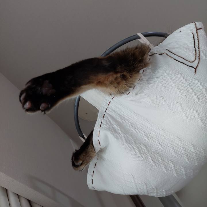 329b389d ae4f 4c8e 893a ebeb5aa0297c 1687298893605