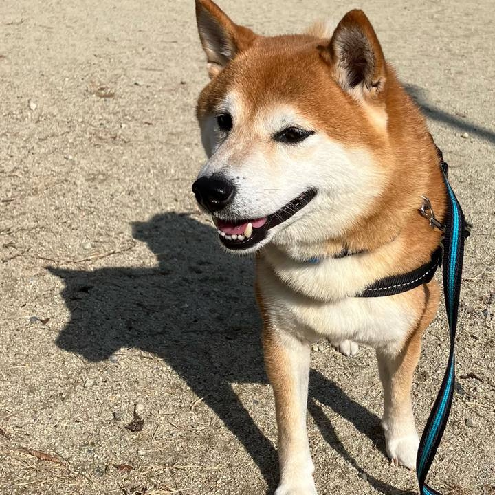 329b3bd3 bac9 4a87 bf66 e5d6cf7a7aec 1764301075727