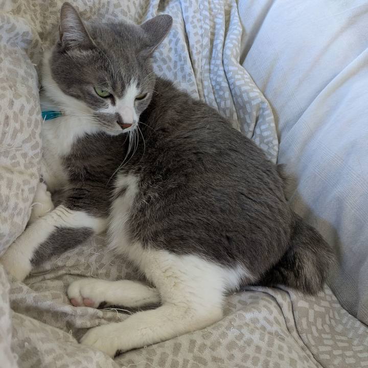 329bd36c 248b 4008 a052 c8801df7ad8d 1739073174282