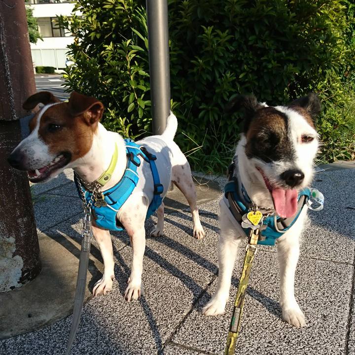 329befad dd6e 429e 8e84 91c72538d818 1565386579637