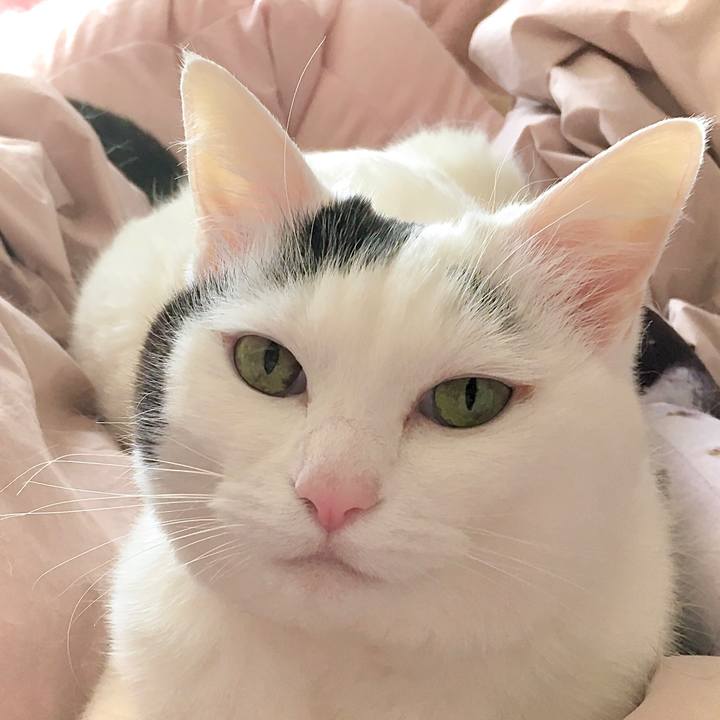 329c019b 5e2b 45c2 84b4 6f4d6d327dbd 1617856357874