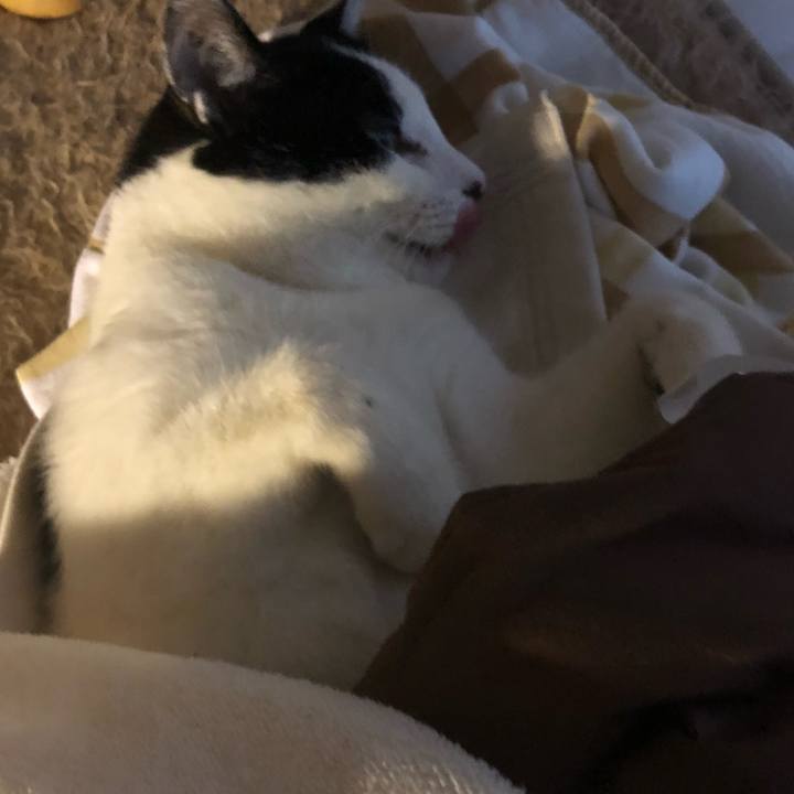 329c60a6 c566 47e1 af00 5d28862af516 1547975805727