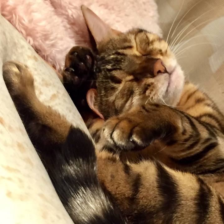 329c6744 34aa 4677 ab15 89d5b812806c 1538694722823