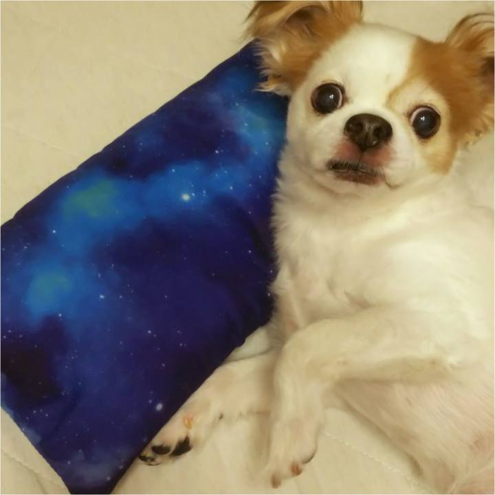 329c7c0d f3dd 4a1b b427 3507f3a320b8 1588604331424