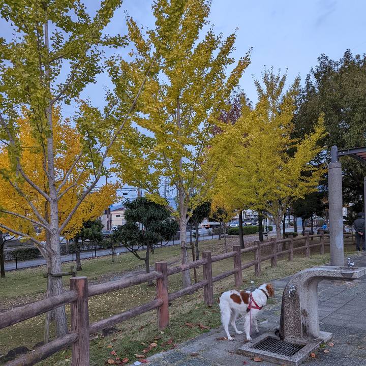 329cc50d 7d7a 4fae a76e ffa69ad25584 1637063558135