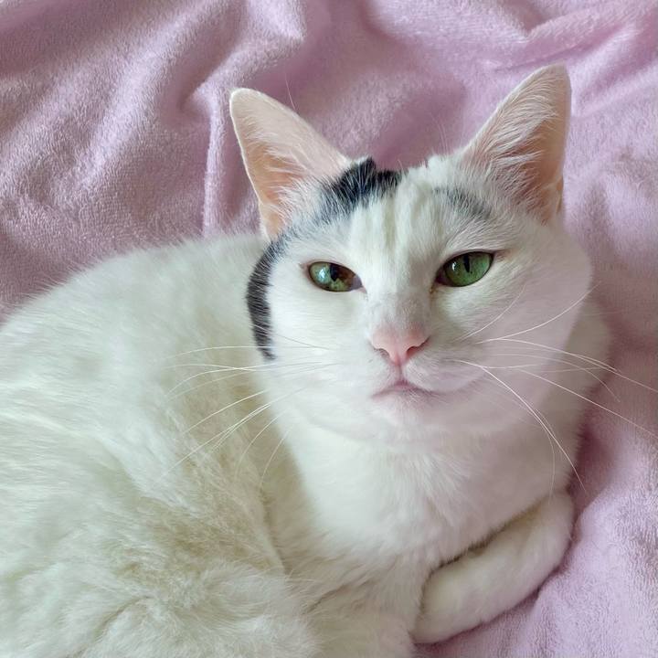 329cd14c 6051 4a4a 9925 2f5b4922c31a 1698034259098