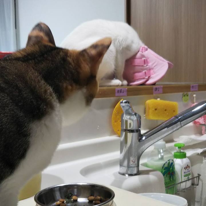 329d07a9 d7a0 41cb a950 08903aa6013f 1693220961387