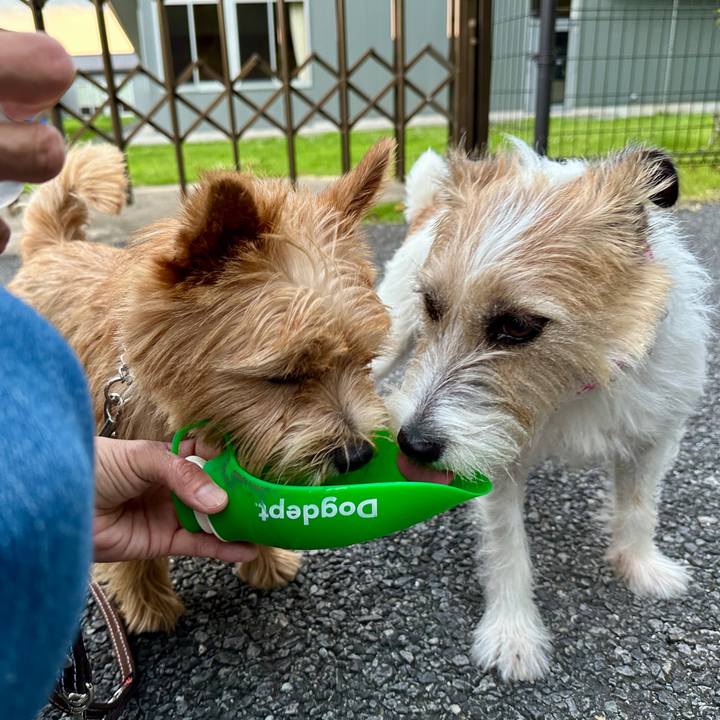 329d14a2 d971 4ef5 8177 dd98ca6ea505 1751551601829