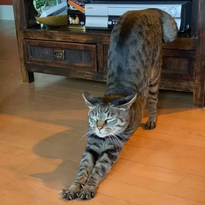 329d2d03 0126 4941 805a 2fe975f7d50b 1609391481000