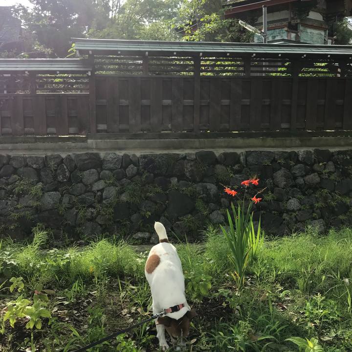 329d9d0b 08a4 49be 9b14 c4f95cf26233 1530329481864