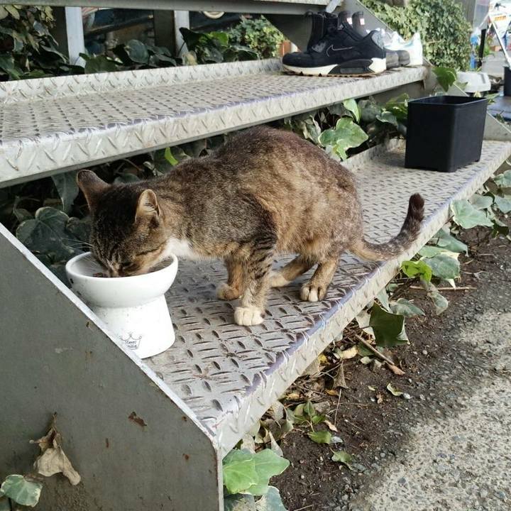 329dab57 c9d6 4899 8f1b 1c5b41314e43 1510632299287