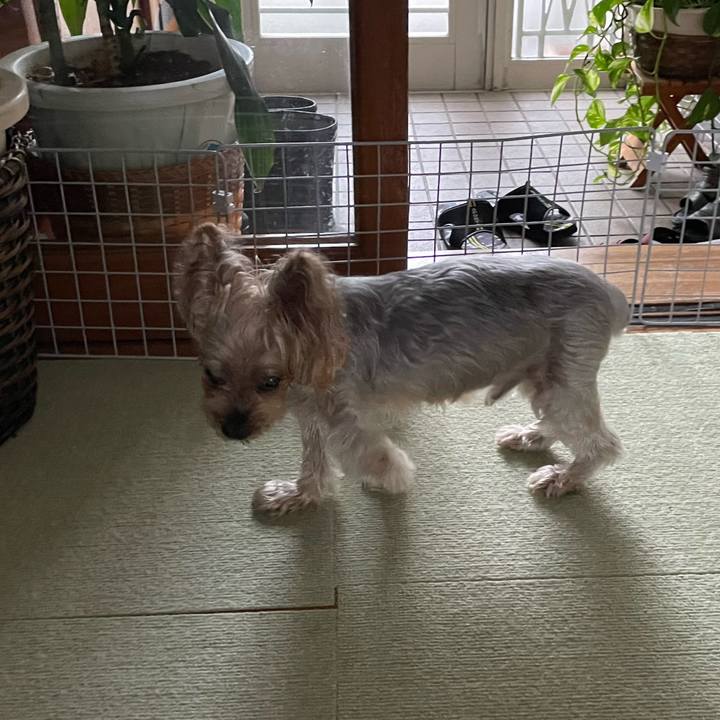 329daf4c 5670 42fa 9d72 c161b2cf136f 1691403783570