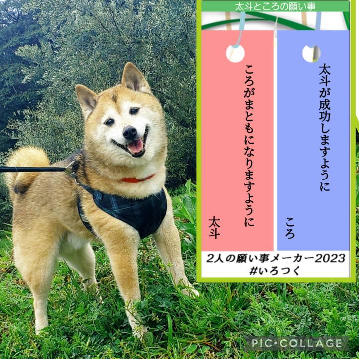 329dd6b8 2259 498f b0e9 2361ba4ec5bd 1688689308024