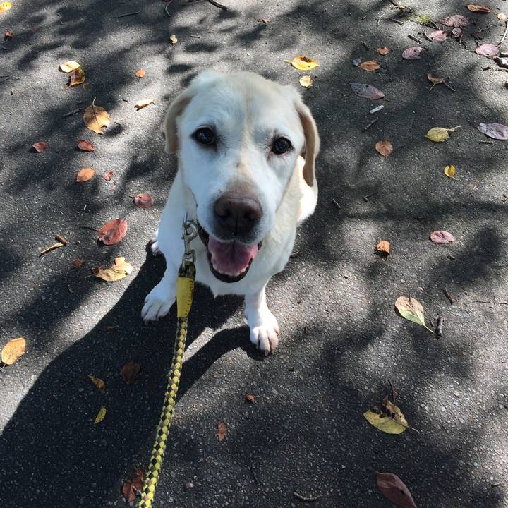 329de195 24ea 4585 9995 77e11f445a50 1598396819220