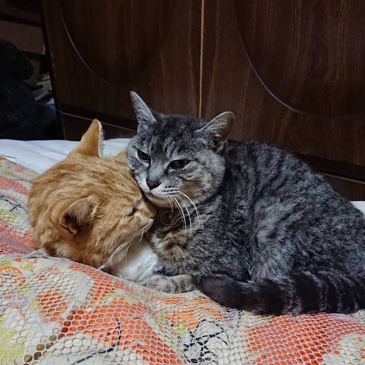 329e07d4 7ea2 4509 b79d 567d6e3ab07a 1584362531132