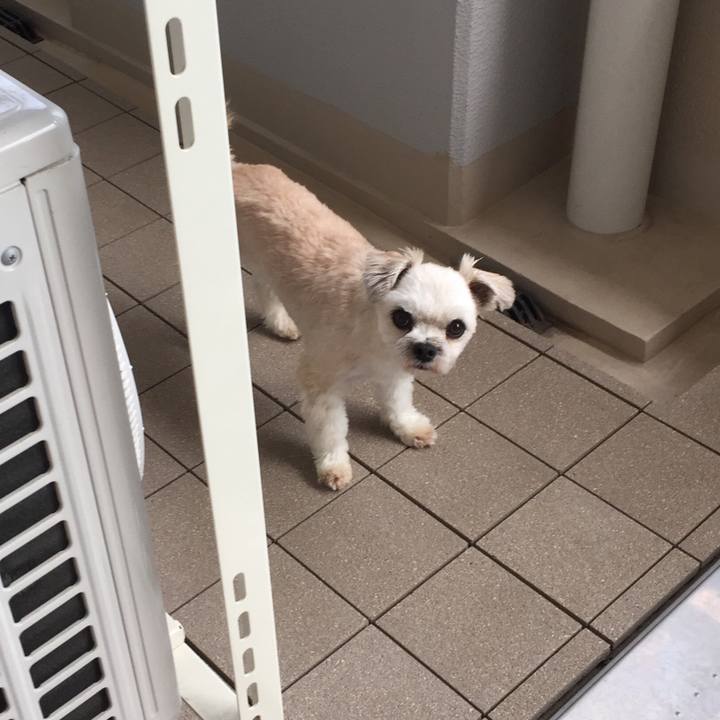 329e470c 3c3f 4be0 aa99 90224ccb0655 1565685947516