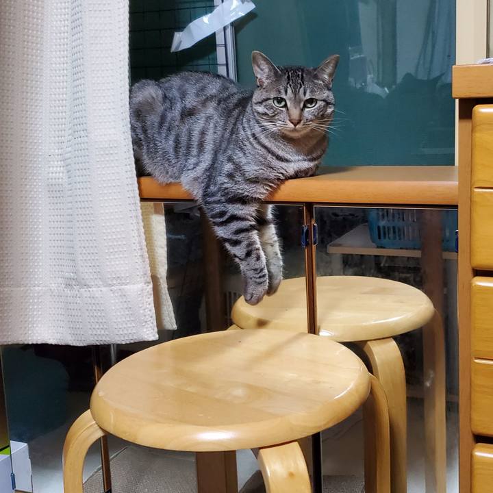 329e5465 68fd 4190 ad34 c4a02d458888 1721368198519