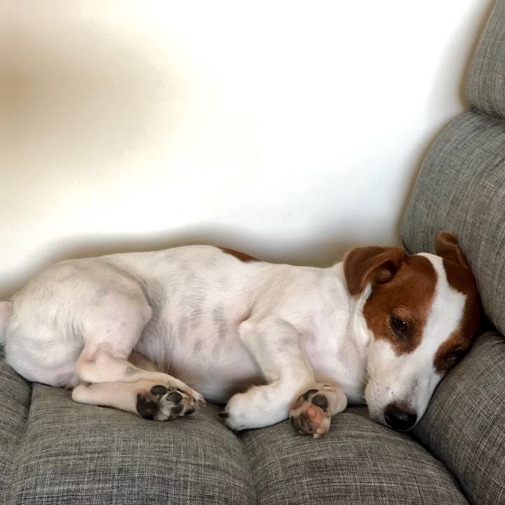 329e665b 2205 46fa 877e 078d7d2c7e10 1598940502985