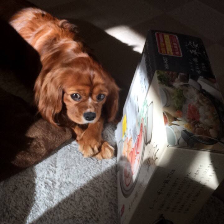 329e8c4a c2f4 4227 a776 94c2891930a5 1610112491790