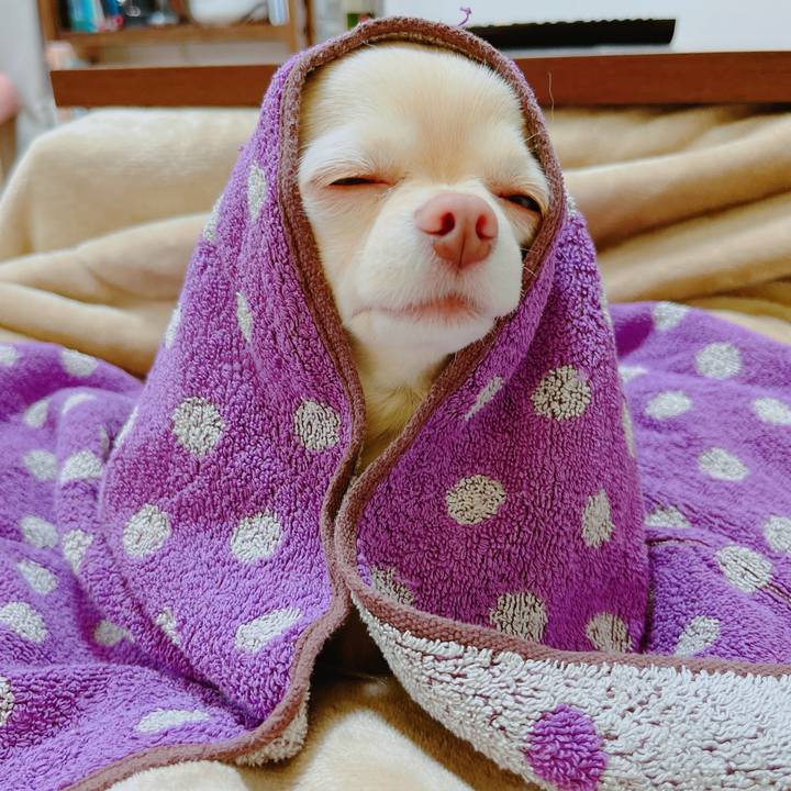 329ee4d4 322f 4f45 9498 00906fd9b76b 1650541988852