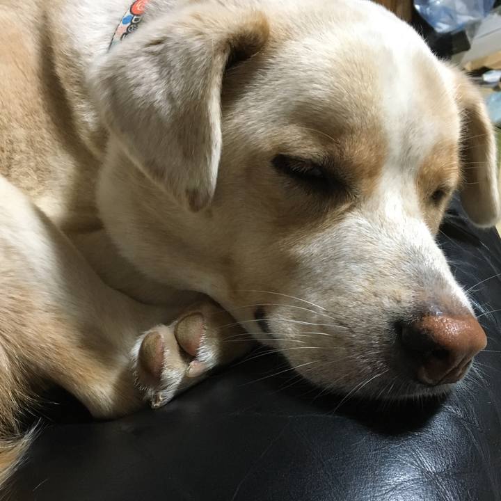 329f04ae a75d 426a a31d 2ee7e931543e 1508164307769