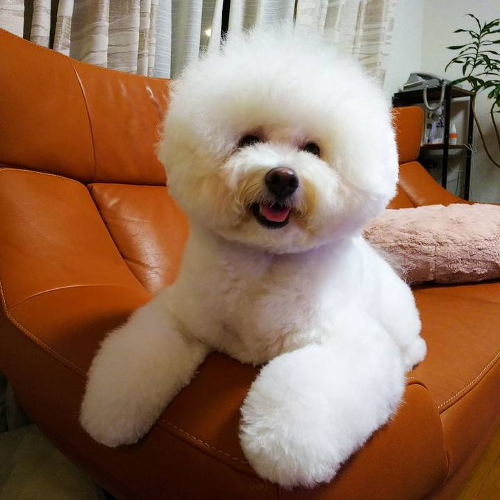 329f6c36 b1ee 4917 9e85 a934c36fb5b5 1564630858043