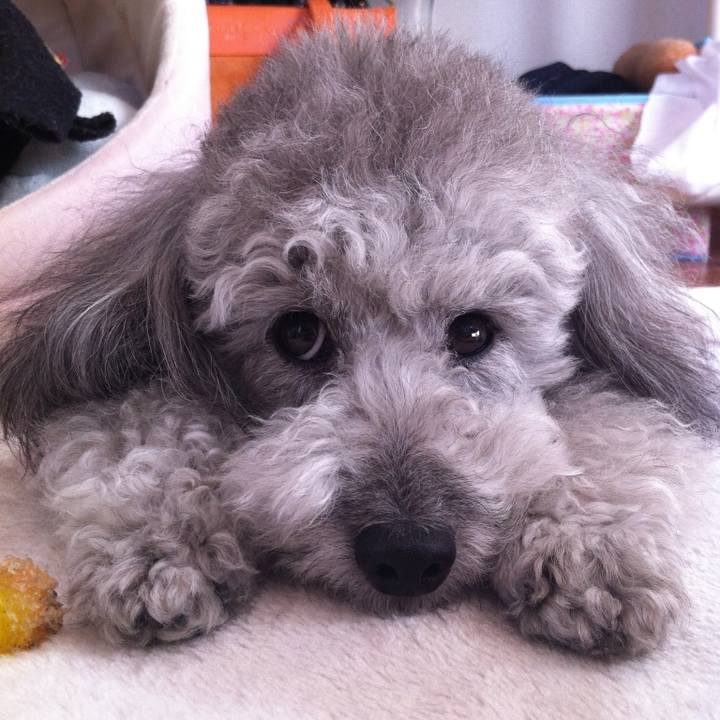 329f837e bdf1 499f 8fa7 4154621a95a8 1766623936560