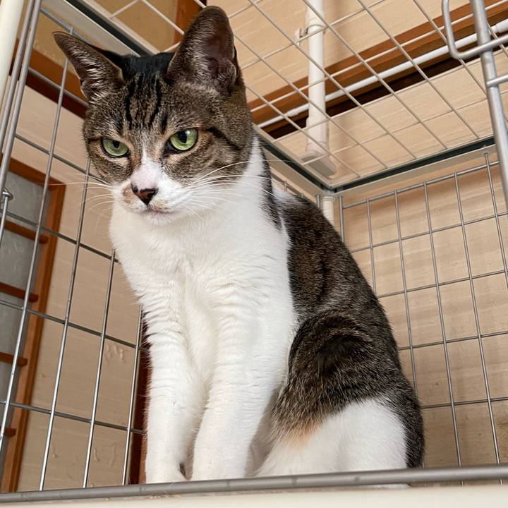 329fb491 21a6 44e9 9685 1fbe44b48c9f 1641780826808