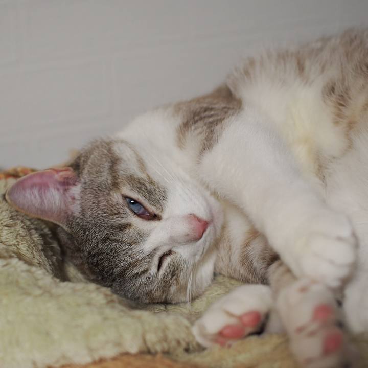 329fba7c bc9d 450b 9847 92fd831f21dc 1556424610182