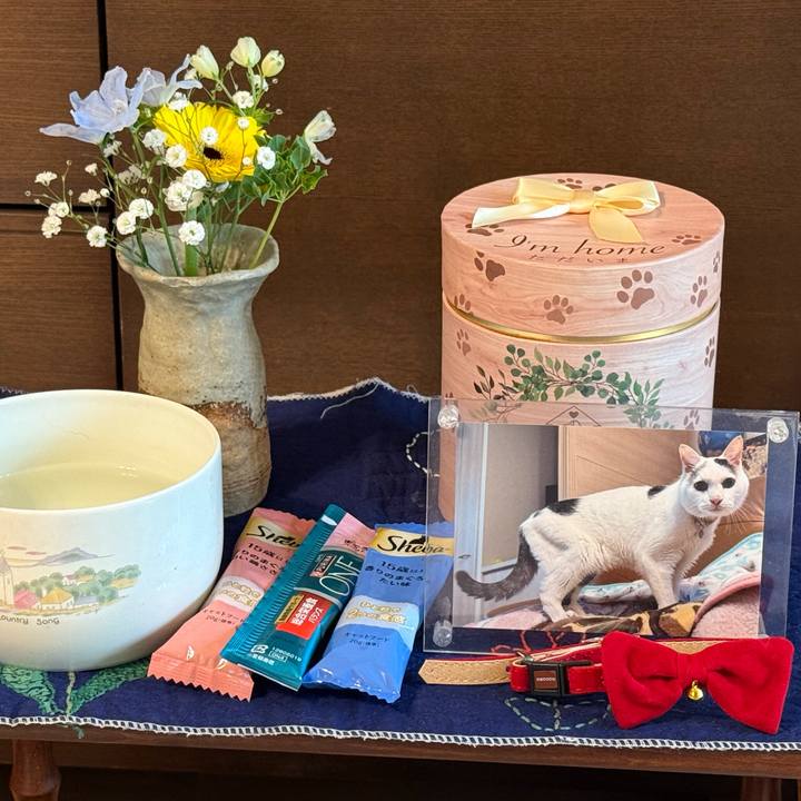 329ffc7b cab7 4935 86c3 5eb6eab3e873 1772336017077