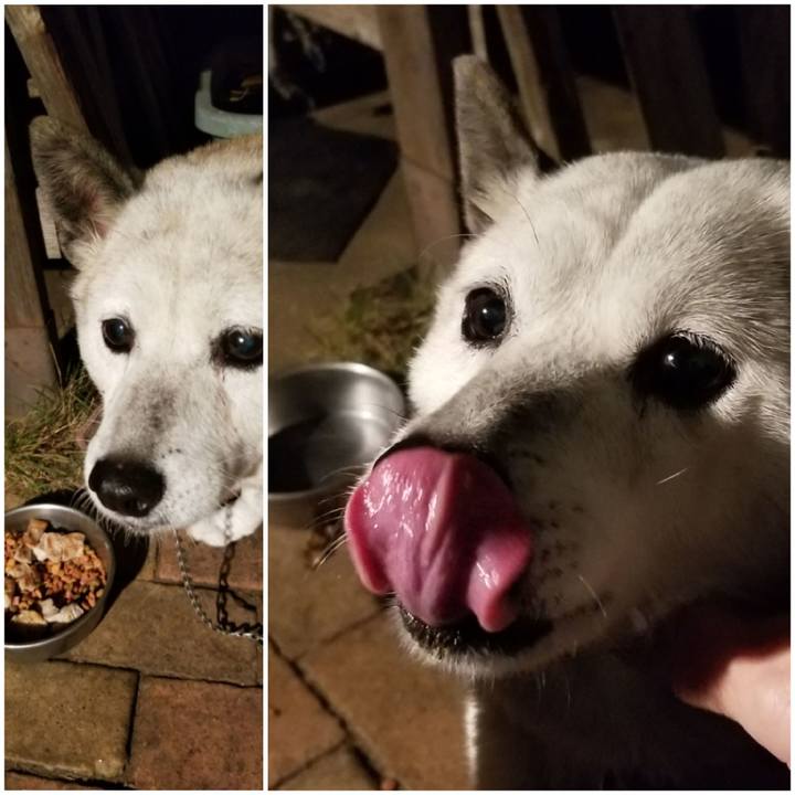 32a0184b 2cbf 4ed8 bf9d 17030582d26a 1701166661195