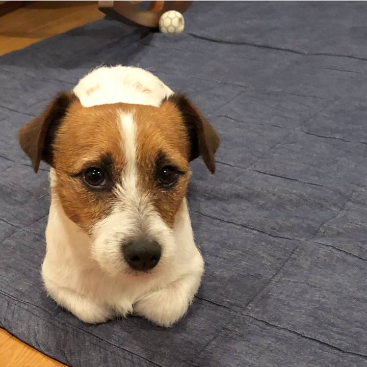 32a03f5a 0501 4ee8 882e c286e43c7ea7 1518785902706