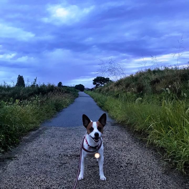 32a04fa5 d408 4121 900f 7827f22c5def 1535803209411