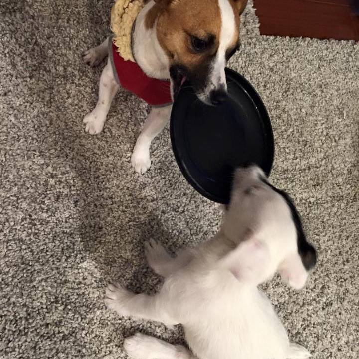 32a0635c 80ce 4339 b1d5 539757fc2556 1551221924080