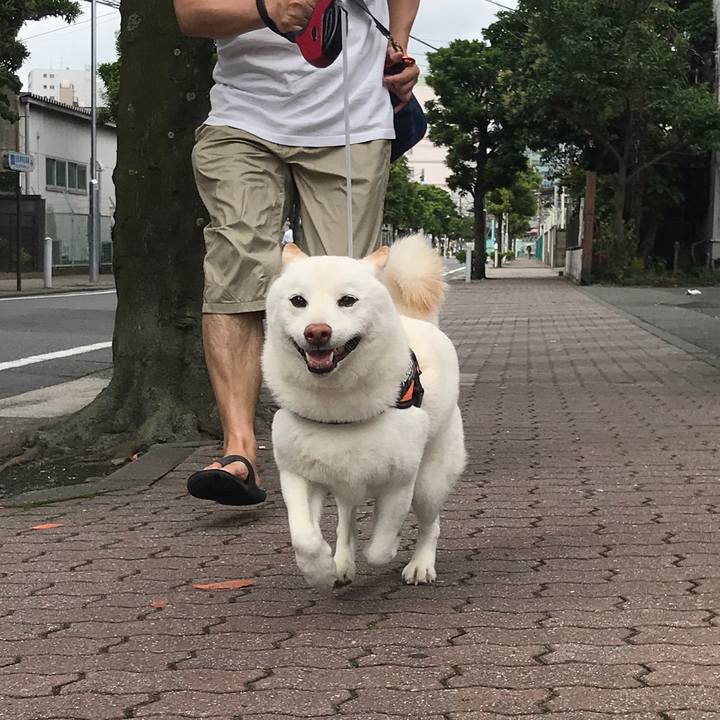 32a08453 5960 4037 92ce 6e172844ab4a 1562283190457