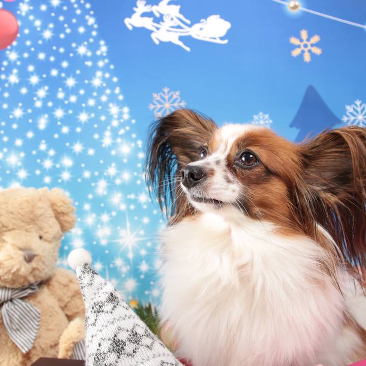 32a0ab59 44f7 4535 8b5e bb6e4e84db76 1512388366033